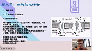 细胞的电活动——《生理学》细胞的基本功能