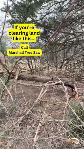 ‼️ Put the chainsaw down ‼️