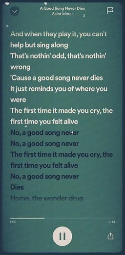 A Good Song Never Dies - Saint Motel #music #lyrics #spotify #edit #indie