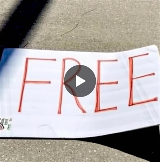 #microphone #avtech #avsolutions #programming #java #qsys #lua #python #json #windows #adobe #photoshop #premierepro #apple #crestron #biamp #extron #jobsearch #avtech #avtweeps #avjobs #qsc… | Crestron - Apple - Biamp - AMX - QSC