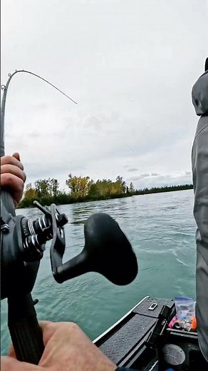 Epic Salmon Fight on the Kenai River | Alaska Fishing with King of the River