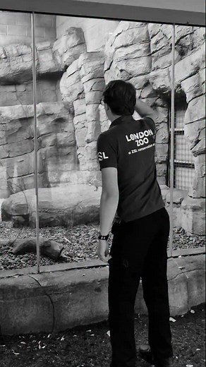 Got any top tips for seeing your favourite animals at the Zoo? Let us know! #LondonZoo | London Zoo