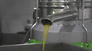 Extraction Oil Black Olives 4k Stock Footage Video (100% Royalty-free) 1106431207 | Shutterstock