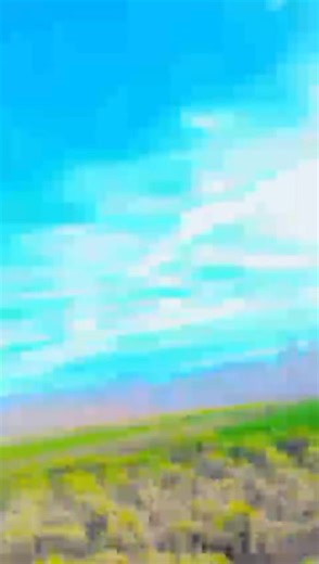 adil khan#💯💯💯🤘🤘🤘🤘🔥🔥