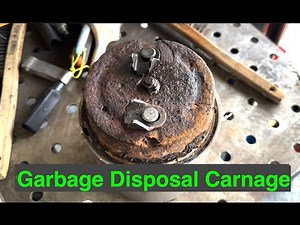 InSinkErator Evolution Excel Garbage Disposal - Home Repair