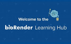 biorender科研绘图学习资料