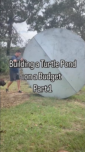 Building a Turtle Pond on a Budget Part 1