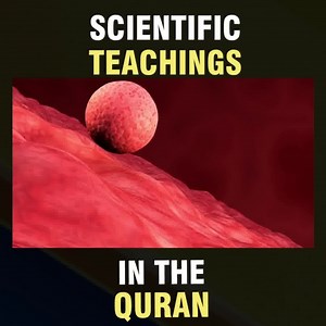 25K views · 2K reactions | Science and religion sometimes are topics that people say do not go hand in hand. However, many religious circles believe that religion actually confirms science. And in this case, that religion is Islam. Let's explore Some of the Muslim beliefs when it comes to science and the Quran. | FTD Facts | Facebook