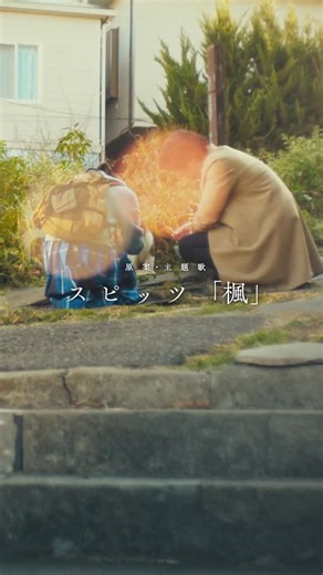 東映映画 公式 on Instagram: "#スピッツ の名曲『楓』が奇跡の映画化＆12/19(金)公開決定！アナウンスメント映像解禁🍁 メガホンをとるのは #行定勲 監督🎬 ニュージーランドでのロケを敢行した本作。 スピッツの永遠の名曲から生まれたラブストーリー✨ 続報をお楽しみに◎ 公式アカウントは👉 @kaede_movie1219 #映画楓 #映画 #新作映画"