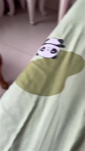 2.6K views · 83 reactions | If I believe you again, I will be a dog #puppy #viraldog #dog | Please call me Fatty | Facebook