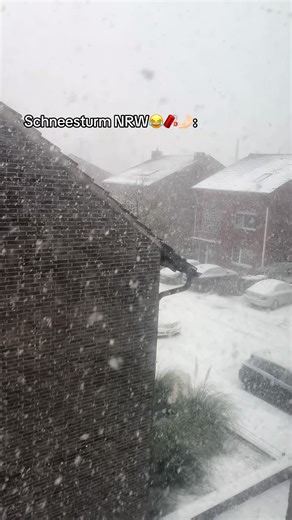 Schneesturm NRW: Ein Blick auf den Winterchaos