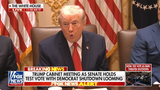 PRESIDENT TRUMP: “Thanks to our tax cuts, millions of Americans will soon receive record-setting tax refunds. You're going to get a lot of tax refunds, with the average refund expected to be over $1,000 higher than it has been at any time.” “If Congressional Democrats had their way, Americans would right now be facing the largest tax hike ever.” | Fox Business