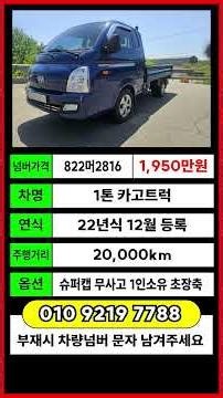 Porter Cargo Truck Price 1-Ton Porter II Market Value Delivery License Sale and Purchase