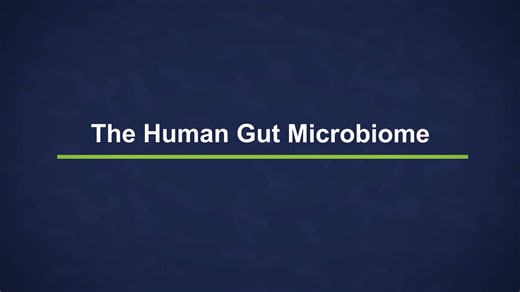 The Human Gut Microbiome and Clostridioides difficile (C. diff)