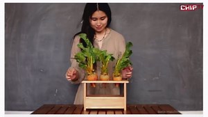 Raspberry Pi - Die skurrilsten Projekte