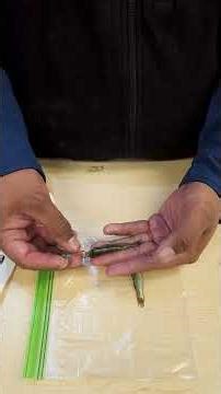 How to Rig a Live Minnow