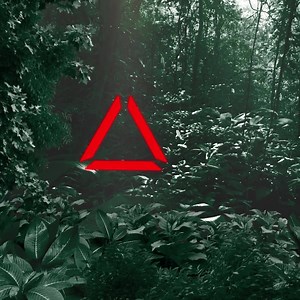 No seas una presa, conviértete en un depredador!! dLos Adidas Predator Pro Strapless te brindan un guante sumamente completo, y de alta calidad.💎 Utilizado por los mejores porteros al rededor del mundo, y sin duda también es uno de los mejores guantes del mundo.🔥 Encuéntralo disponible en nuestra tienda 😎www.unokeepershop.com | UnoKeeper