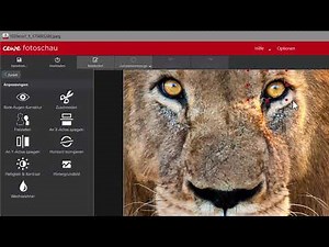 Farbige Bereiche im Schwarz-Weiß-Foto