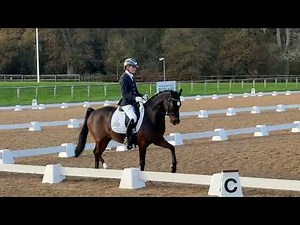 Charming Duke Advanced Medium 6 Wellington November 2025