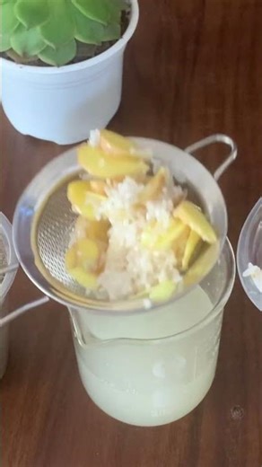 Just Lemon! Roses Suddenly Grow 999% More Roots Overnight#short