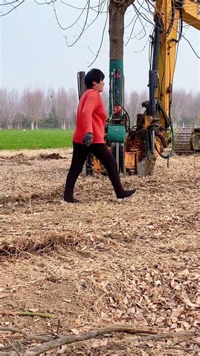 Changqing Tree Digger Plants 60 Trees an Hour - Seedling Transplanting Revolution