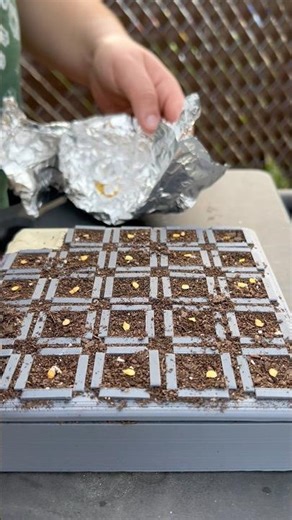 My 3D Printed Garden Hack for Lazy Growers #peppers #diy