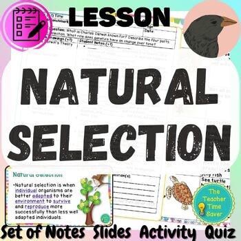 Natural Selection Reading Comprehension Lesson and Worksheet - Adaptation Traits