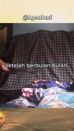 Ketika elu punya HP baru 🗿👍 #memes #meme #absurd #shorts || meme lucu