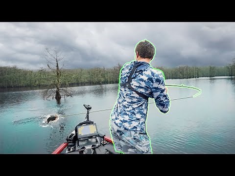 Backwoods Bassin In the Texas JUNGLE! — On The Border (Part 2)
