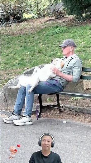 The bond between humans and dogs is truly wonderful❤️ #Dog #love #bestfriend #foryou #viral
