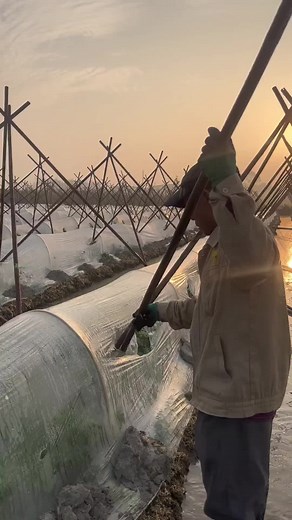 Protecting Crops: Effective Farming Techniques Explained