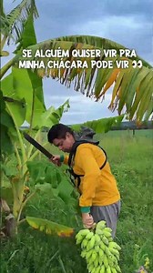 4 de fevereiro de 2026