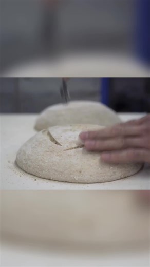 World Gourmet Kitchen on TikTok