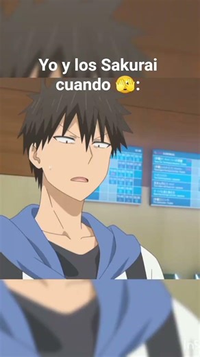 Sakurai forever alone #uzakichan #anime #animelatino