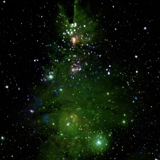 NASA released images of a 'Christmas Tree Cluster'