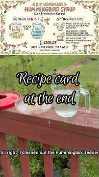 🌸 DIY Homemade Hummingbird Nectar 🌸