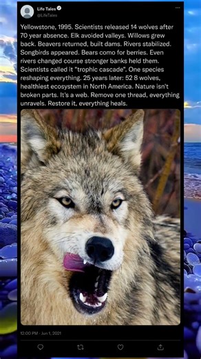 Masters of the Wild: Nature Architects 🦜🌳 #WildEngineering #NatureMagic #ShortsTrend