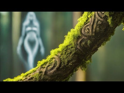 Detect Malware with a Random Forest in Python 2024