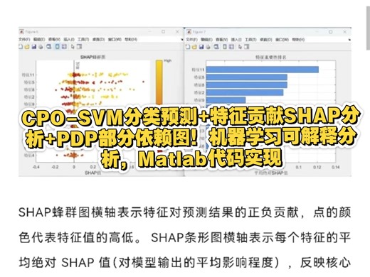 CPO-SVM分类预测 特征贡献SHAP分析 PDP部分依赖图！机器学习可解释分析，Matlab代码实现