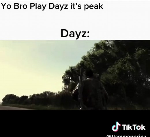 Still Playing DayZ: Gameplay Highlights and Tips