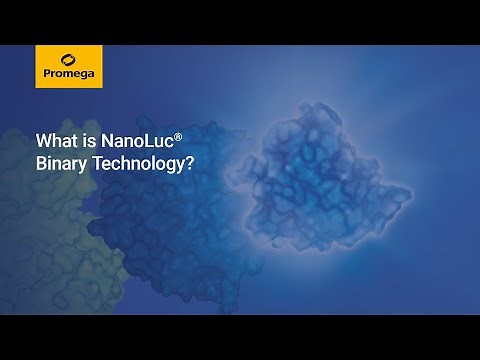 What is NanoLuc® Binary Technology? What is NanoBiT®?