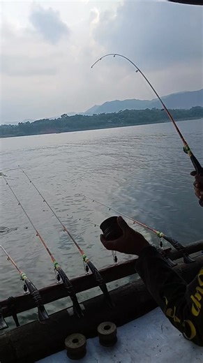 Neupi ka ampir ampiran ti jongjolong 🤭 #mancingnila | Anas Rakit