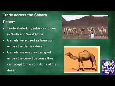 Grade 7 - Social Sciences | 20 July 2020 | The Kingdom of Mali