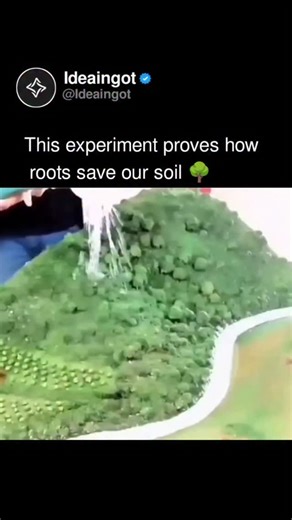 Tech & Business | Technology News on Instagram: "This might look like a simple science class demonstration, but it perfectly illustrates one of the most sophisticated engineering systems on the planet. ​When heavy rain hits bare soil, the water has nothing to slow it down. It turns the dirt into liquid mud and washes it away immediately, creating the sludge you see on the right. This is exactly how dangerous landslides and massive erosion events start in areas with deforestation. ​The side with 