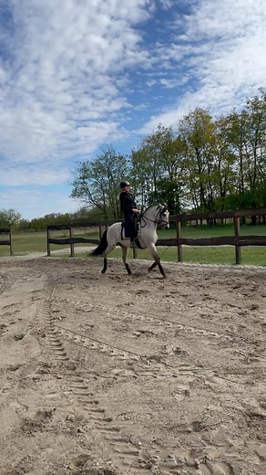 was für ein Pferd😍 Wenn der Westernreitet aufs Dressurpferd steigt! Sind hier auch Dressurreiter unter euch?❤️