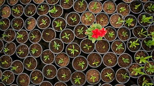 Build a Compelling Competitive Matrix