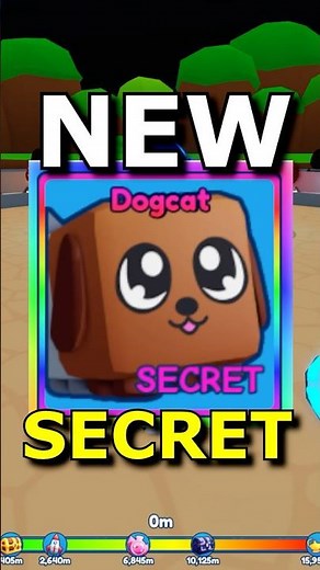 New DOGCAT Secret in Bubble Gum Simulator Infinity #bgsi #bubblegumsimulatorinfinity
