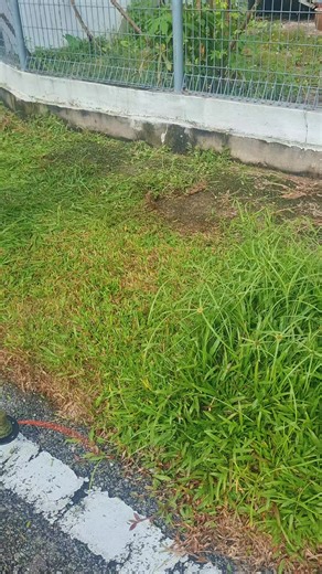 Grass Cutting ASMR Experience