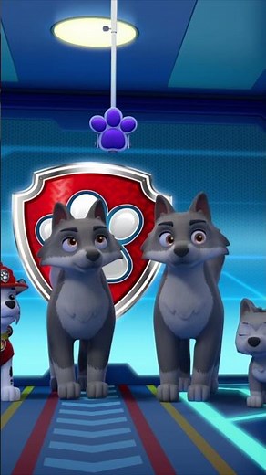 TITLE | La Pat' Patrouille | PAW Patrol