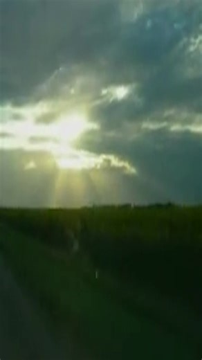dCherry (@dcherryyyyyyy)’s videos with Murphy's law - dCherry